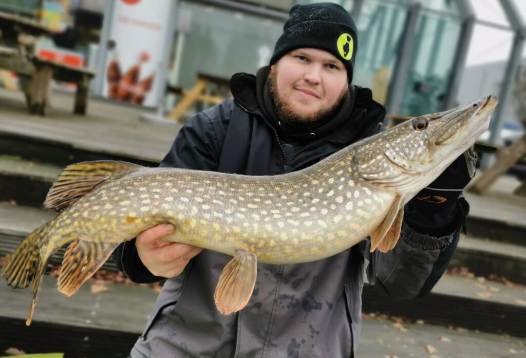 Hechtangeln mit Köderfisch