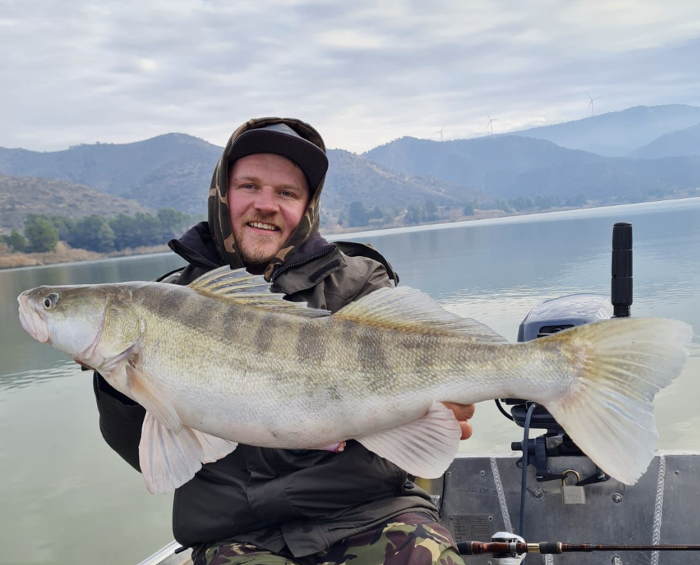 Ebro Zander