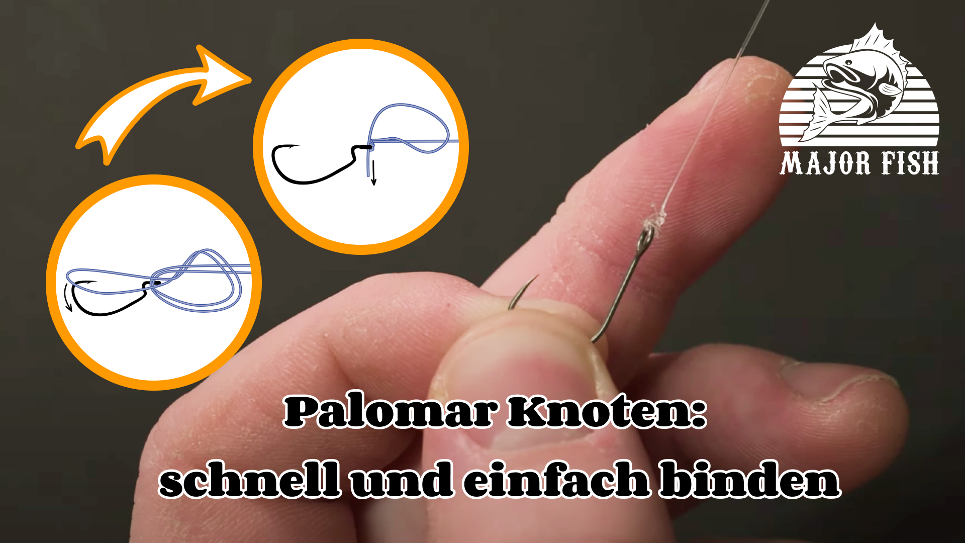 Palomarknoten